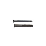 Nageldübel allfa 10×80 mm, Set 10 Stück